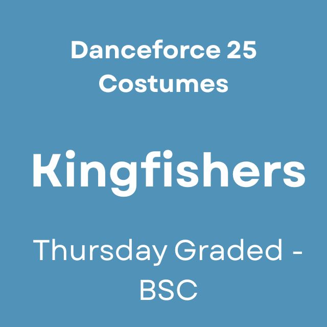 Kingfishers - Danceforce 25 Costumes