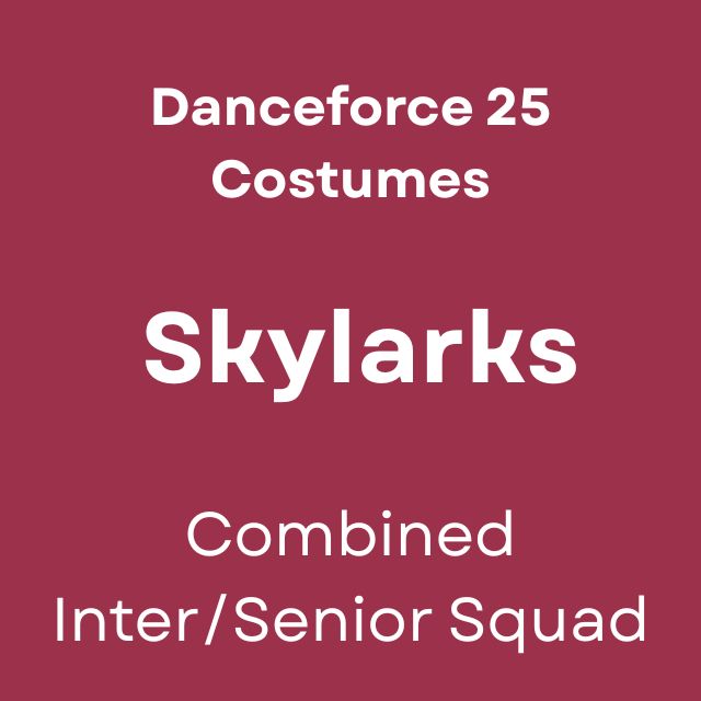 Skylarks - Danceforce 25 Costumes