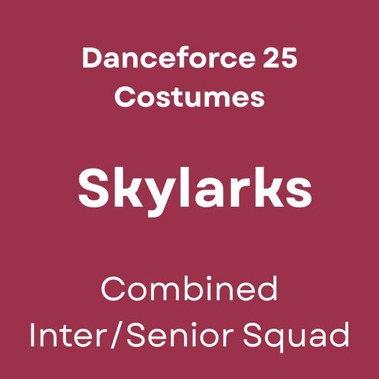 Skylarks - Danceforce 25 Costumes