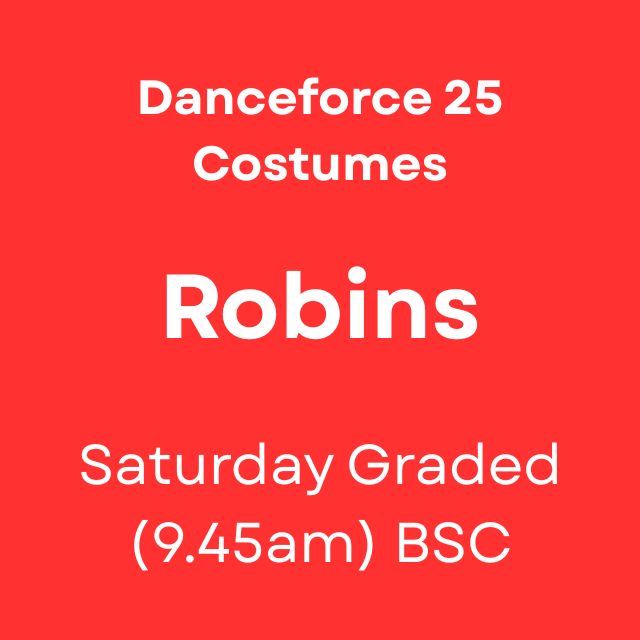 Robins - Danceforce 25 Costumes